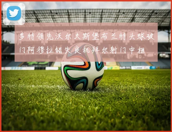 多特领先沃尔夫斯堡布兰特头球破门阿穆拉错失良机拜尔射门中框