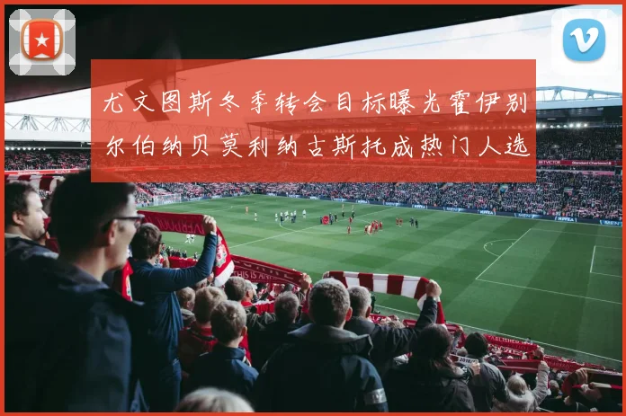 尤文图斯冬季转会目标曝光霍伊别尔伯纳贝莫利纳古斯托成热门人选
