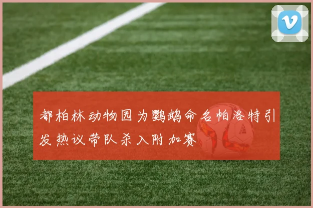 都柏林动物园为鹦鹉命名帕洛特引发热议带队杀入附加赛