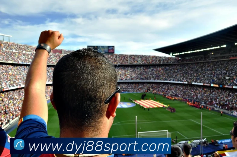 大赢家发展历程